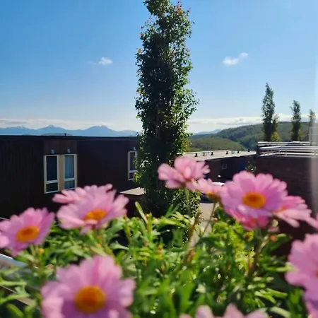 Apartment Leilighet I Vakre Omgivelser.