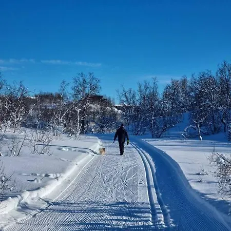 Leilighet I Vakre Omgivelser. Tromso